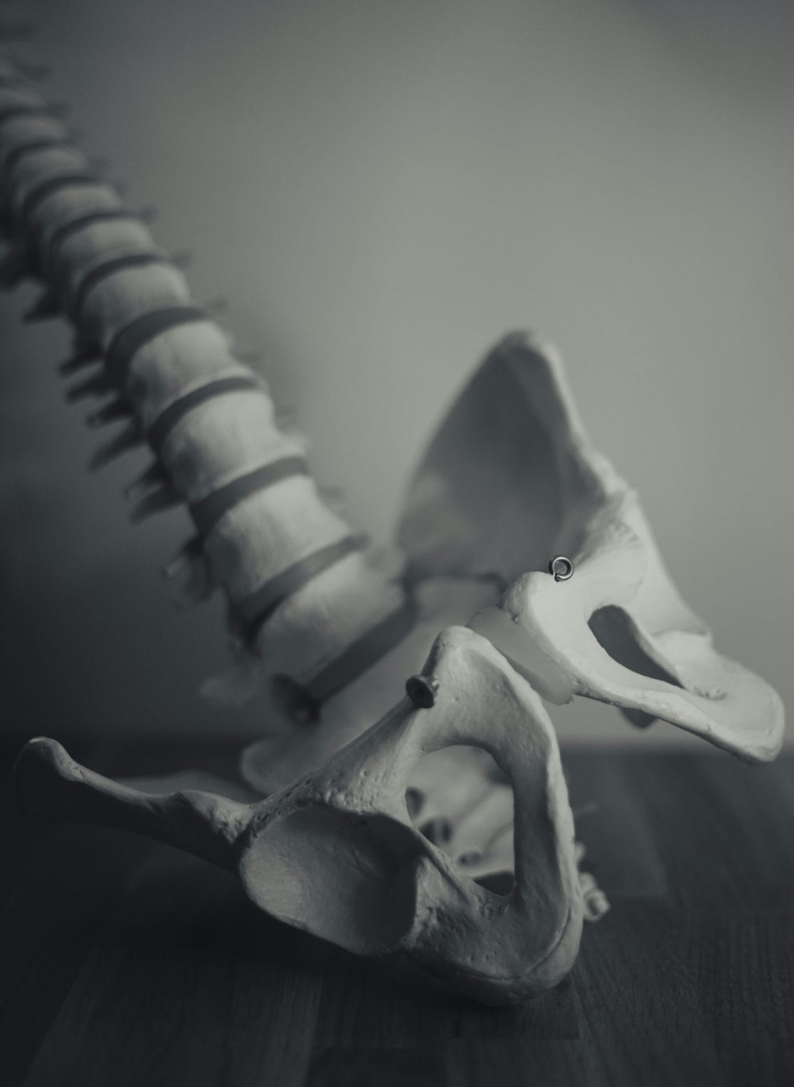 Ostepatia, gli organi interni